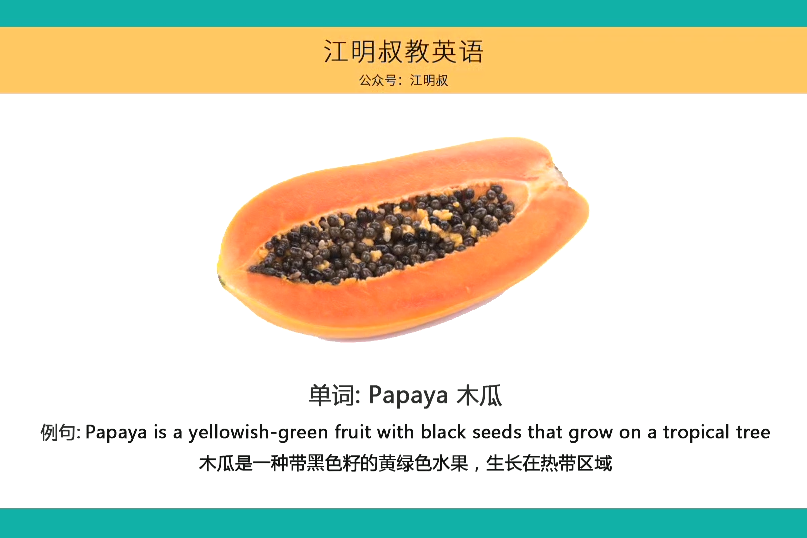 零基础学英语 今日单词 木瓜