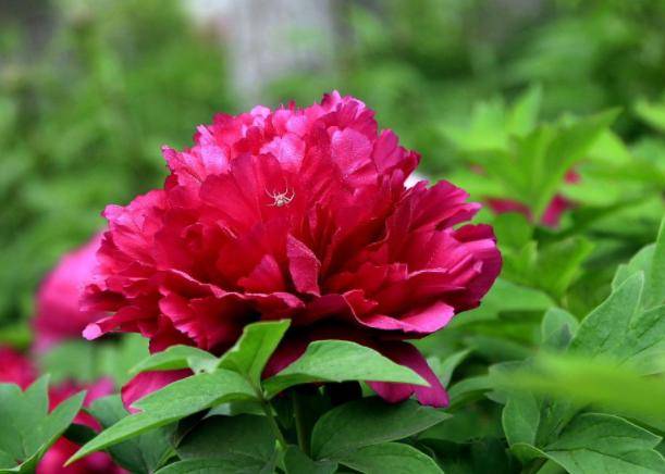 你的出生不好,日子过得一般,从小到大一直梦想着