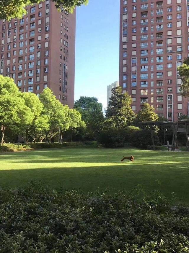 而说到绿色科技,朗诗绿色地产是一个绕不开的话题.