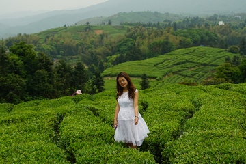 迁安“贯头山酒业”营销模式遭质疑：曾因涉传被