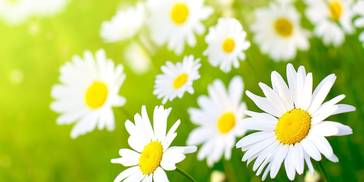 2周之后，四大生肖收财纳福，鸿运当头，中大奖发横财