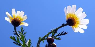 再熬77天，四大生肖财运之门大开，如沐春风，好运爆棚