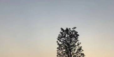 明天11·1日生肖鼠.生肖兔.生肖鸡.上上签，走旺财运3生肖！