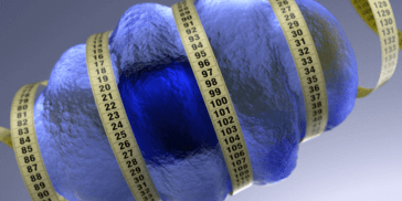 肥胖易致痴呆？研究称肥胖与21个阿尔茨海默病基因有关