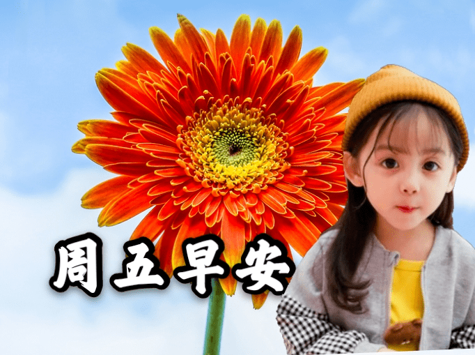最新周五早上好表情包，天气多变，适时添衣，保重身体要紧！-搜狐大视野-搜狐新闻
