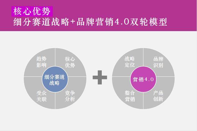 品牌咨询：企业成长的向导