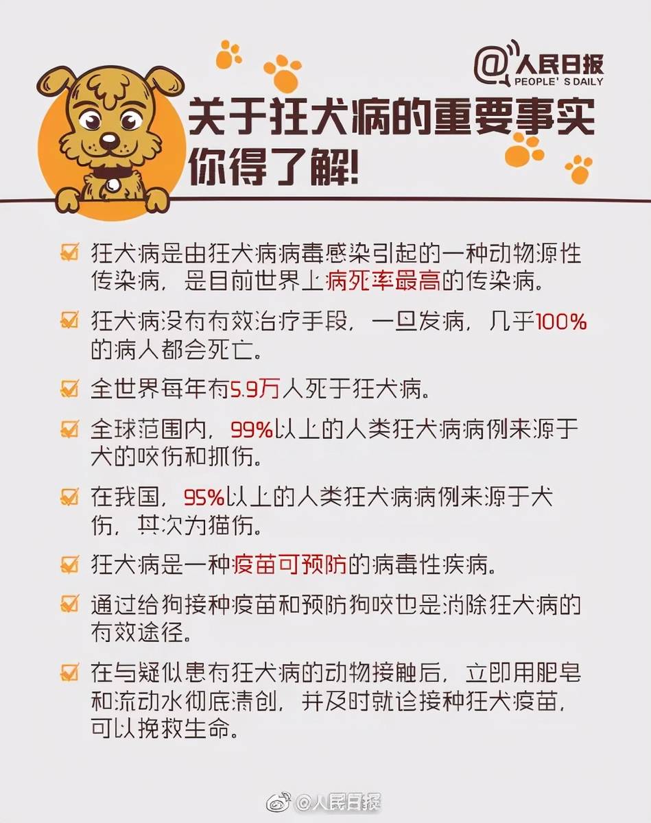 反转!杭州被狗咬伤女孩未脑死亡!掌握狂犬病的防治,关键时刻能保命!-搜狐大视野-搜狐新闻