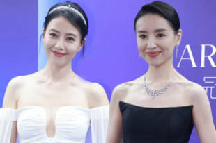 高圆圆冠冕神女造型 董洁优雅此沙绅士