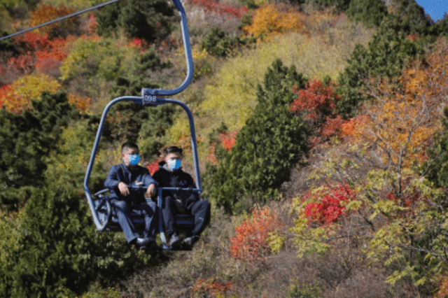 香山迎来红叶观赏期第一个高峰日