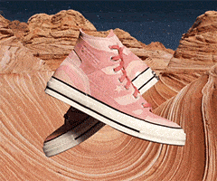 CONVERSE EARTH TONE SUEDEϵ