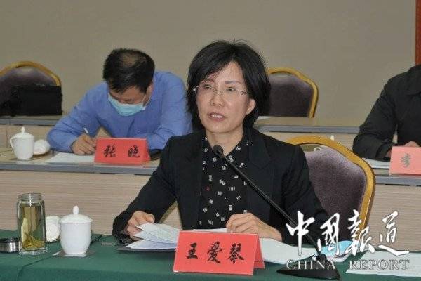 会上,王爱琴汇报了山西省现代服务业与旅游业融合发