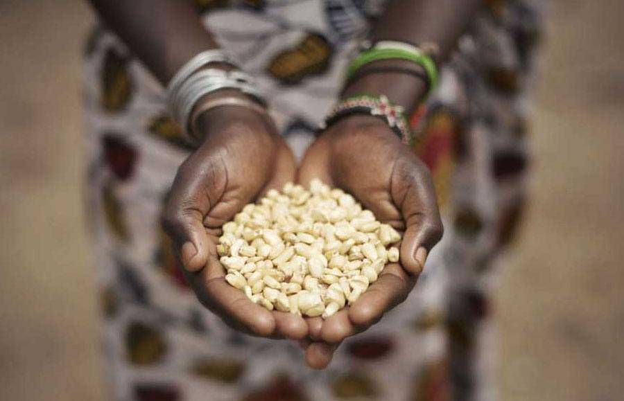 疫情危机下的"人祸"!相对于病毒,他们更害怕的是饥饿