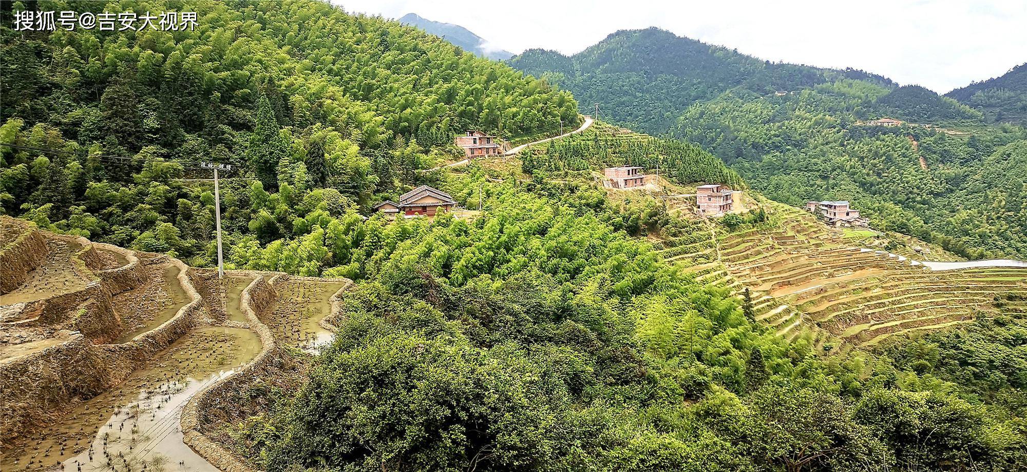 吉安视觉:遂川县桃源梯田风景如画 山水田园皆成景