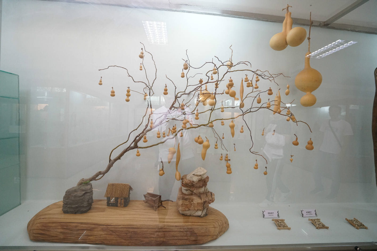 走近源远流长的葫芦文化——中国葫芦文化博物馆-搜狐大视野-搜狐新闻