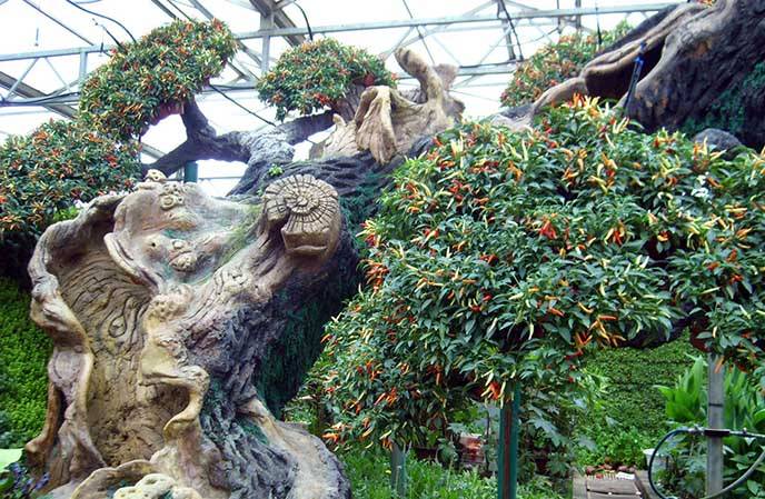 山东莘县农业嘉年华仿真古树制作