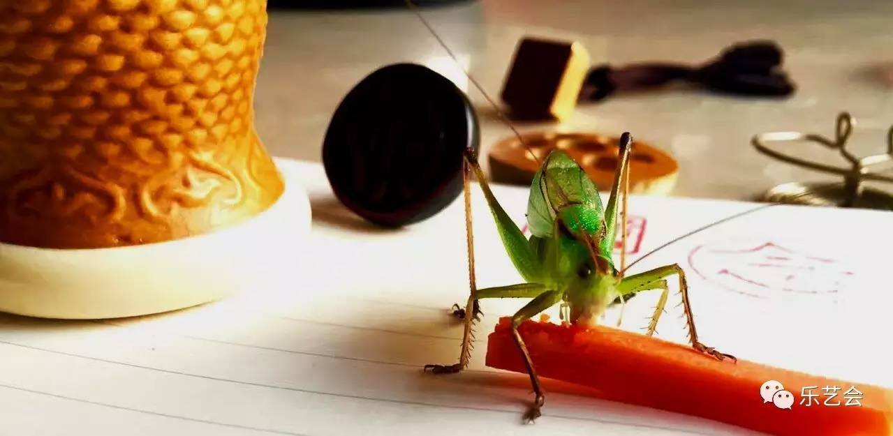 潘安大讲堂扎嘴官模子蝈蝈葫芦