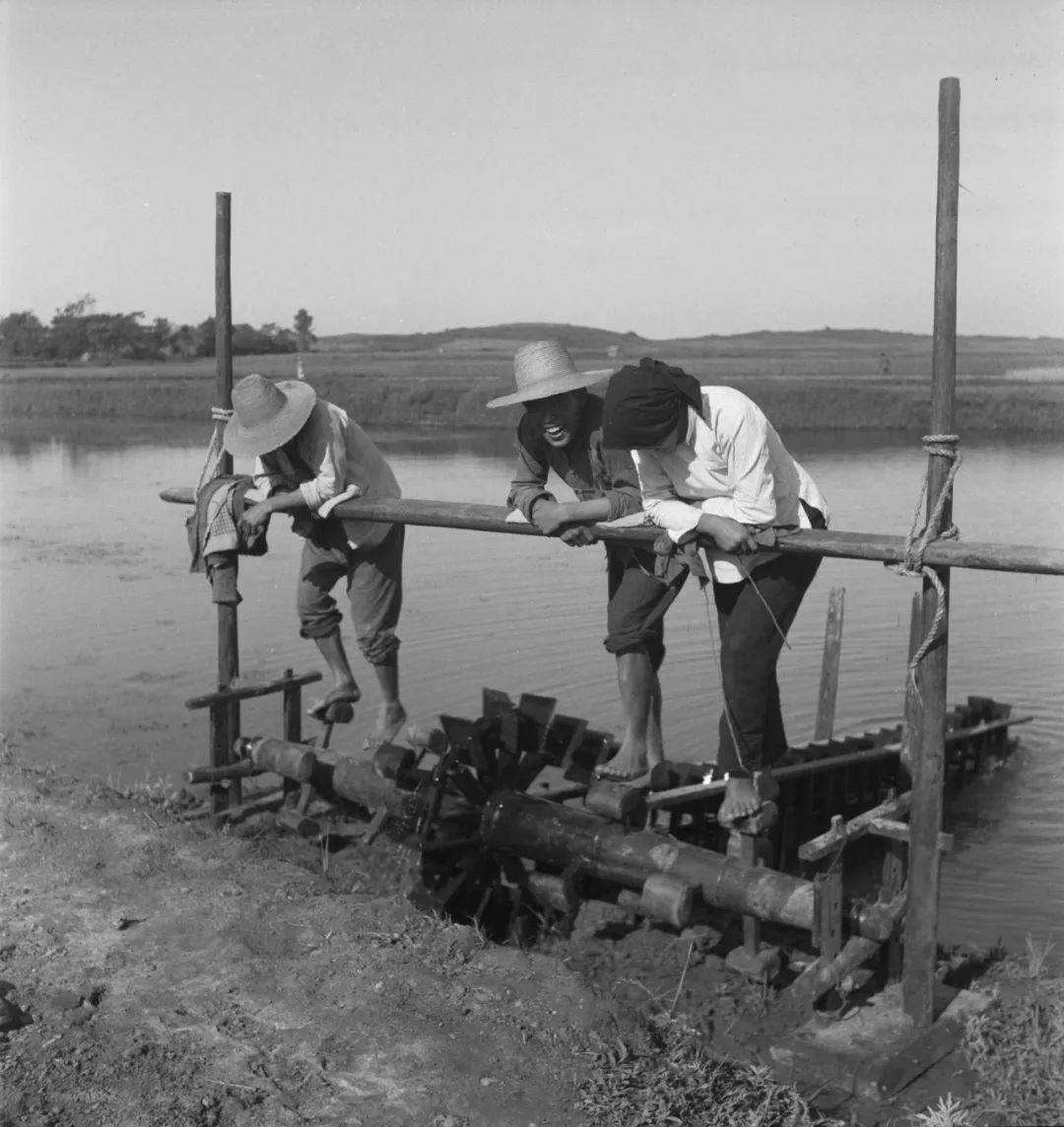 老照片:40年代的原始耕种方式_中国