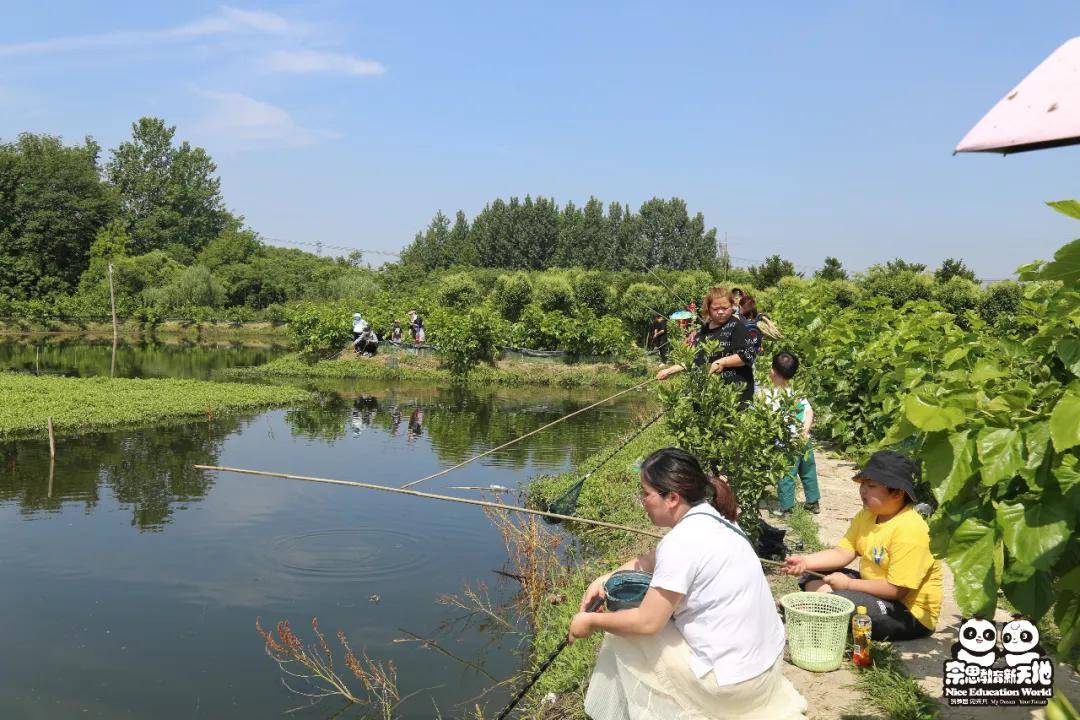 【活动回顾】奈思亲子活动回归第一弹,钓龙虾,吃桑葚,欢乐周末就在奈
