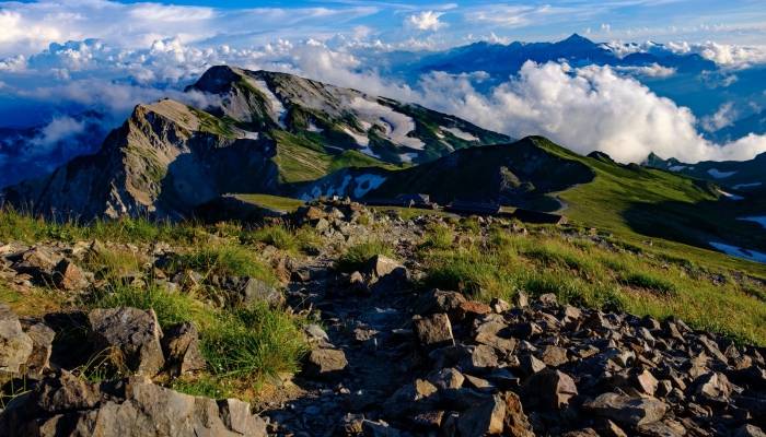 小熊电器被“神话”,但未来发展的天花板已经出现-家电圈官网