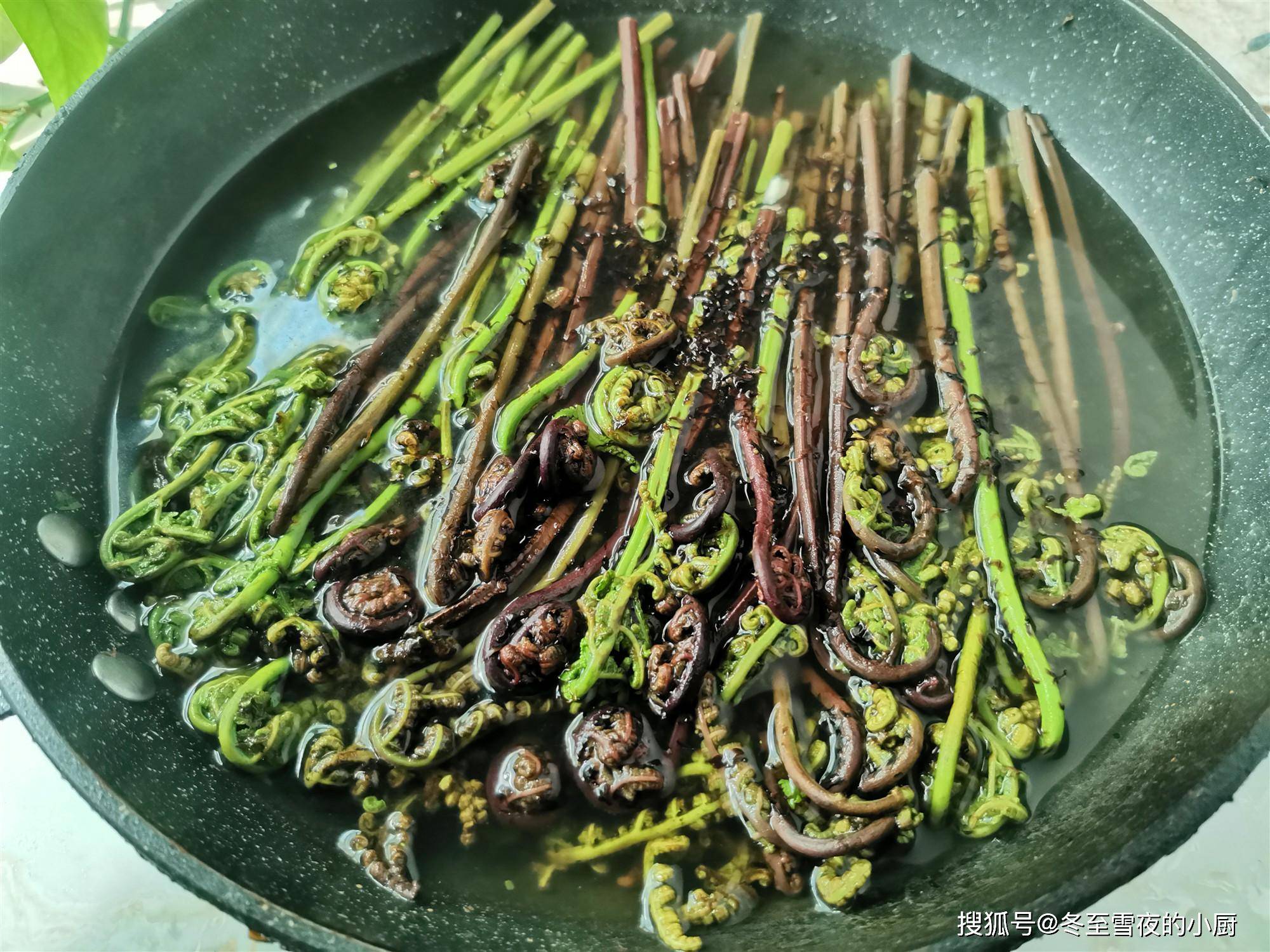 產地分佈上還是存在一定差異,猴腿菜和蕨菜的區別是猴腿菜莖部是有毛