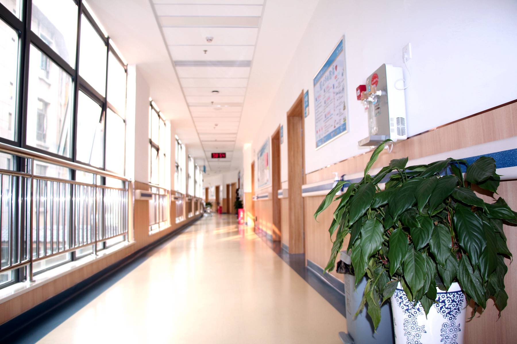 长航东院的老年病科,走廊上阳光明媚,夏风熙熙,给住院的患者带来了好