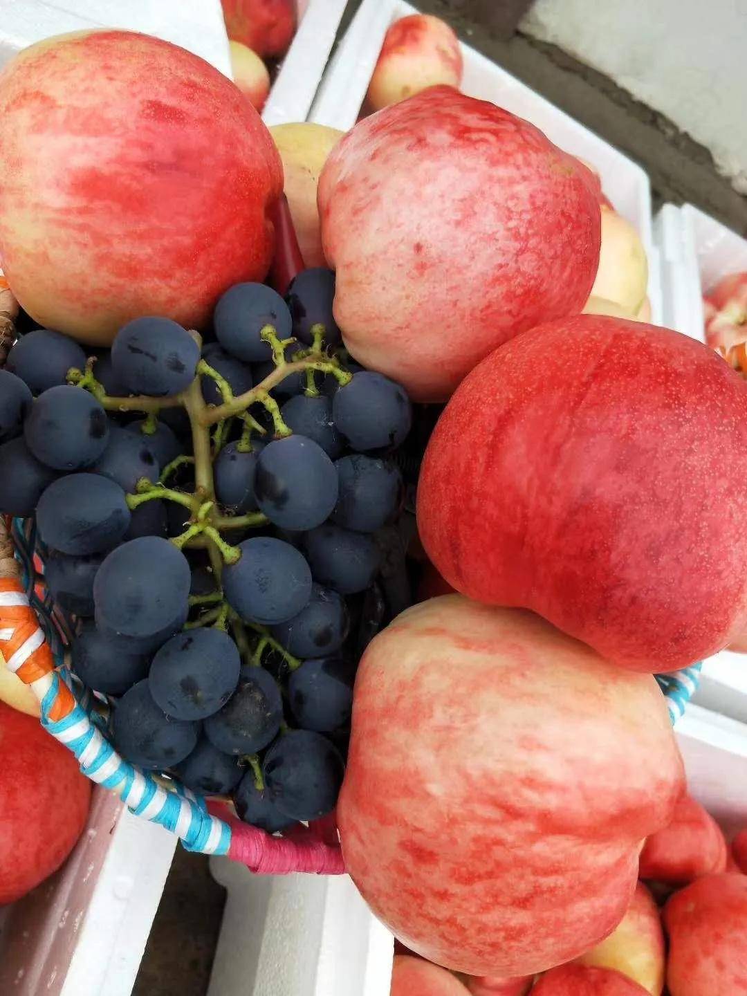 【图】曹妃甸六一全攻略:带孩子玩转海滨欢乐假期