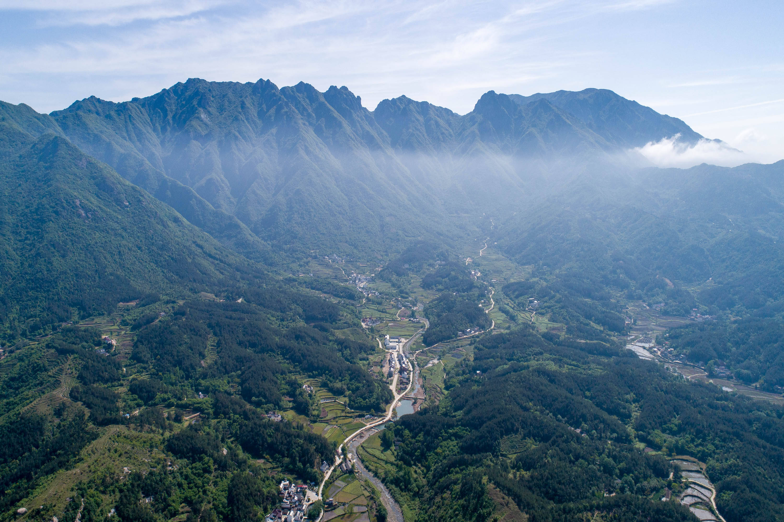 三省七縣結合部的大別山,新茶一百五一斤,販到城市後只能買一兩