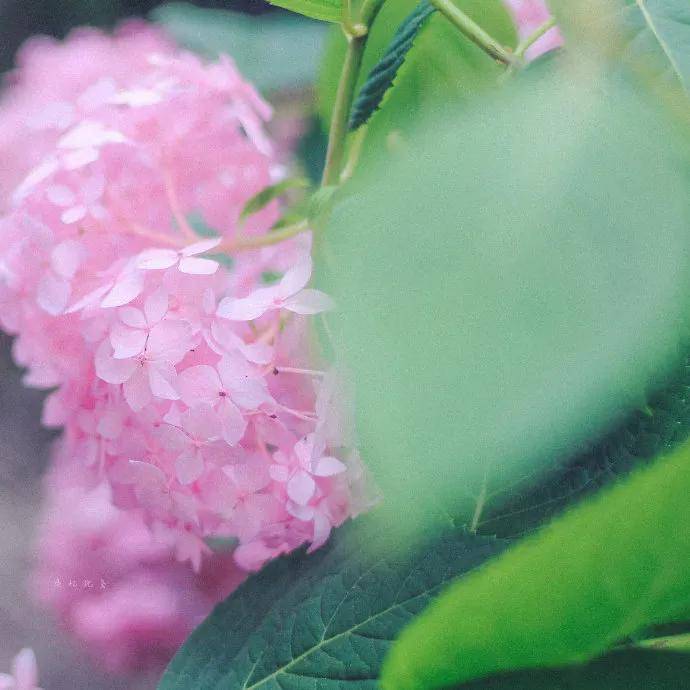 图片[21] - 【xizi被窝段子20200529】生活是苦难的 我又划着断桨出发 - xizi