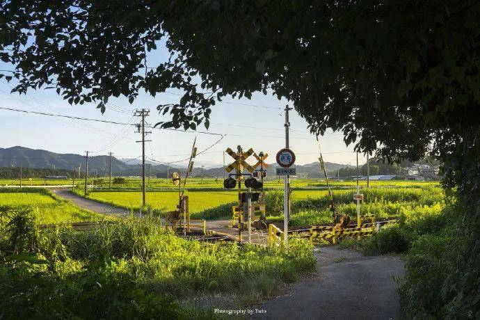 图片[10] - 【xizi被窝段子20200529】生活是苦难的 我又划着断桨出发 - xizi