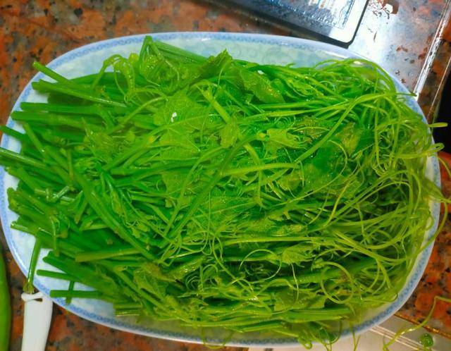 只有这道菜,才配得上夏天,口感爽脆,敞开吃,多吃不长肉还变瘦_龙须菜