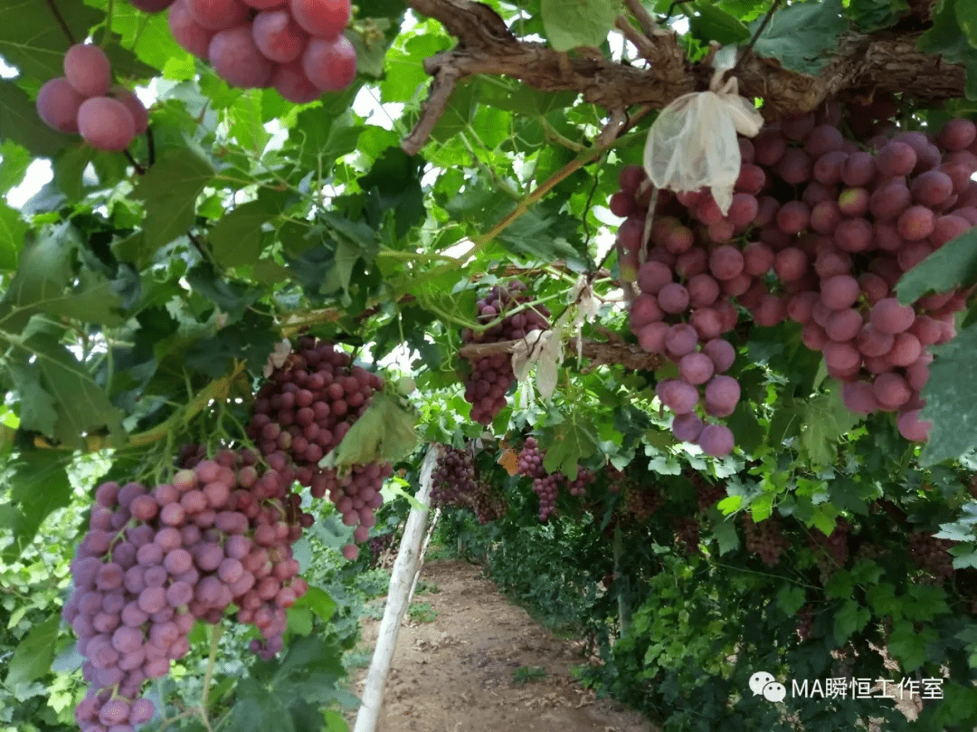 骑行中国 第19站 北疆 伊犁双河
