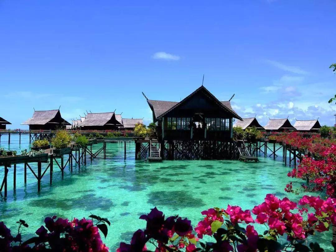 6元起家,他为梦想进山3年造悬崖木屋,把4000㎡院子搬进云海,恣意!