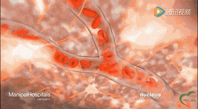 400_220gif 动态图 动图