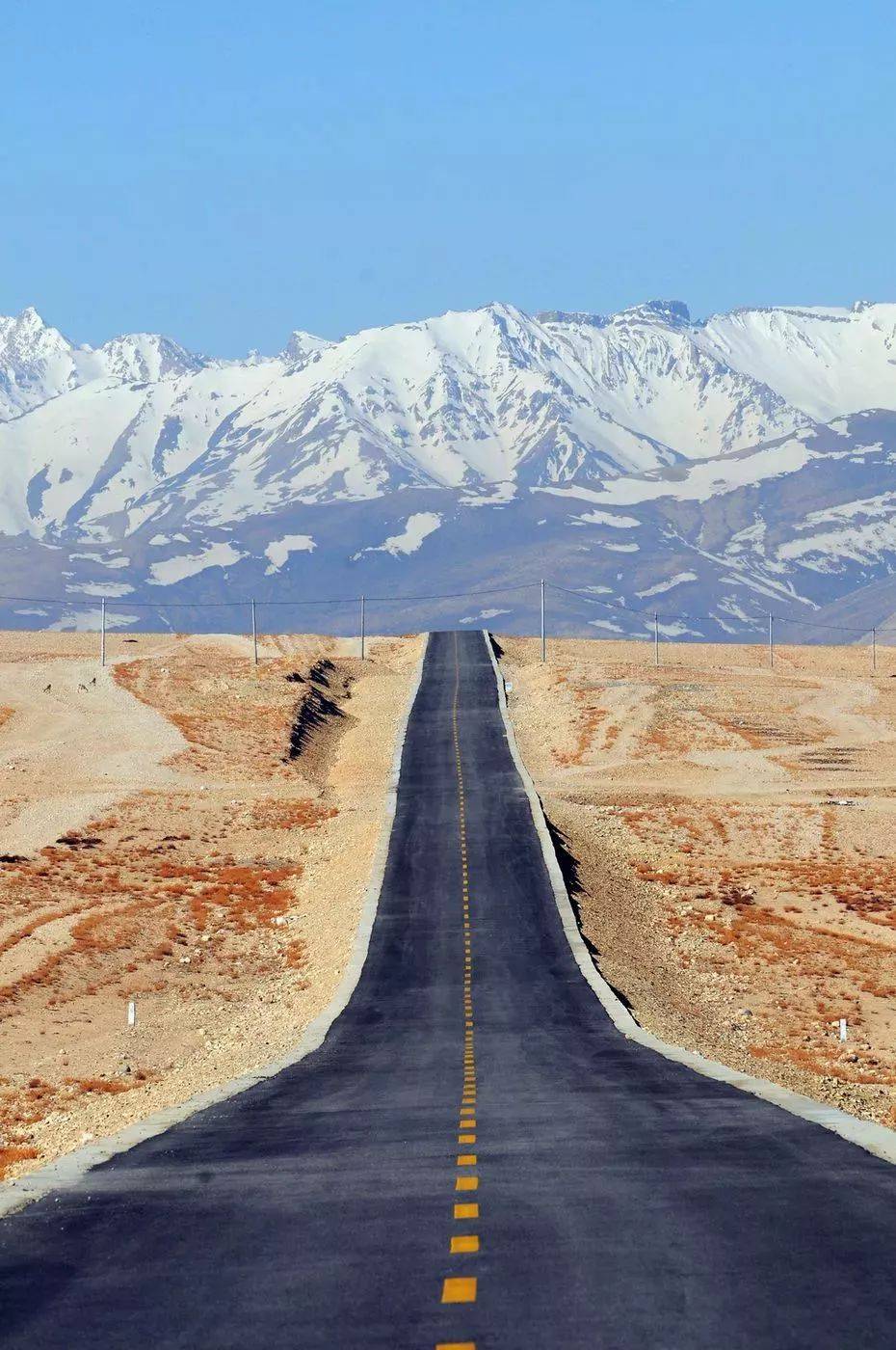 阿里才是西藏的解药