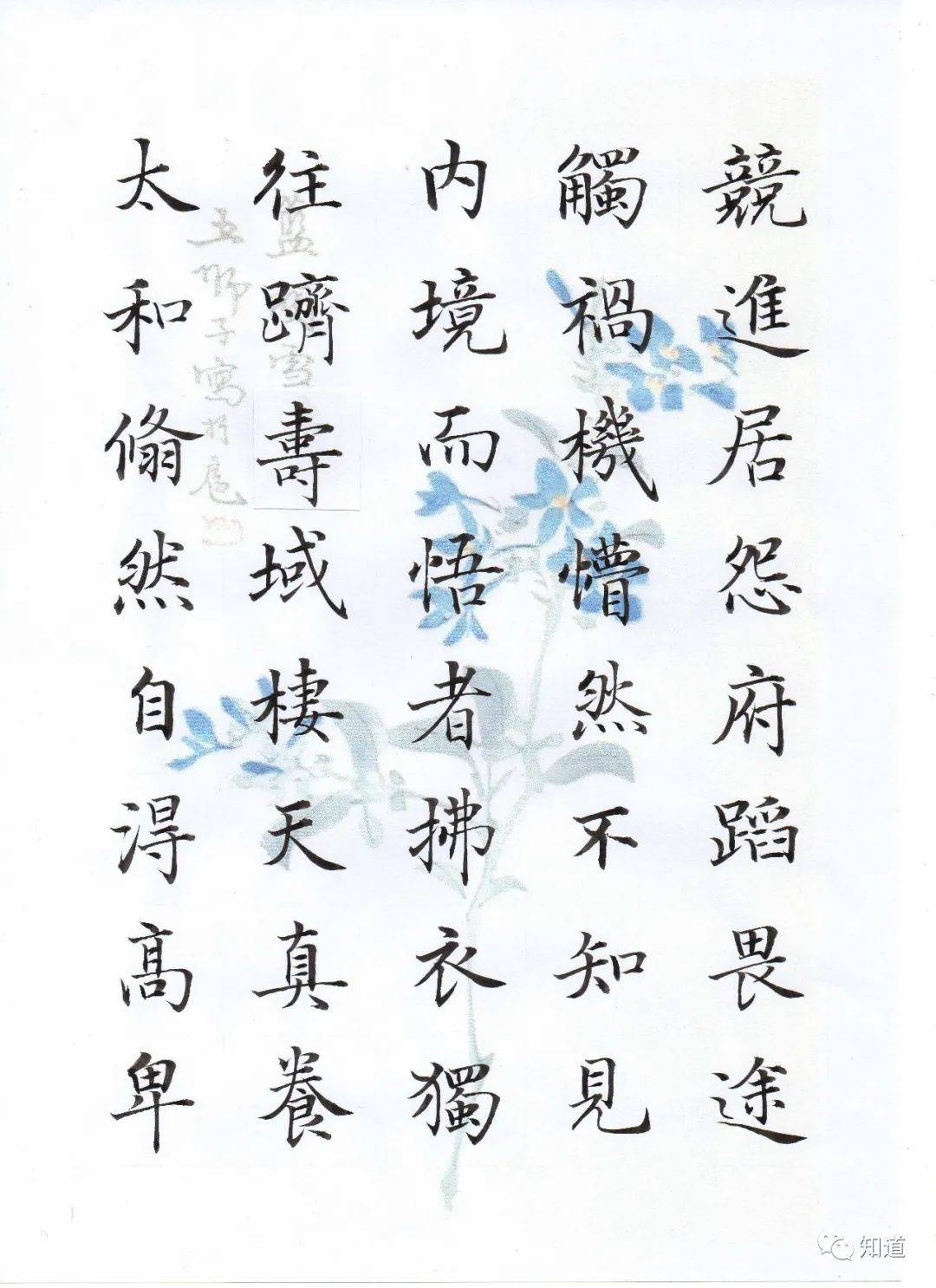 竞进,居怨府,蹈畏途,触祸机,懵然不知;见内境而悟者,拂衣独往,跻寿域