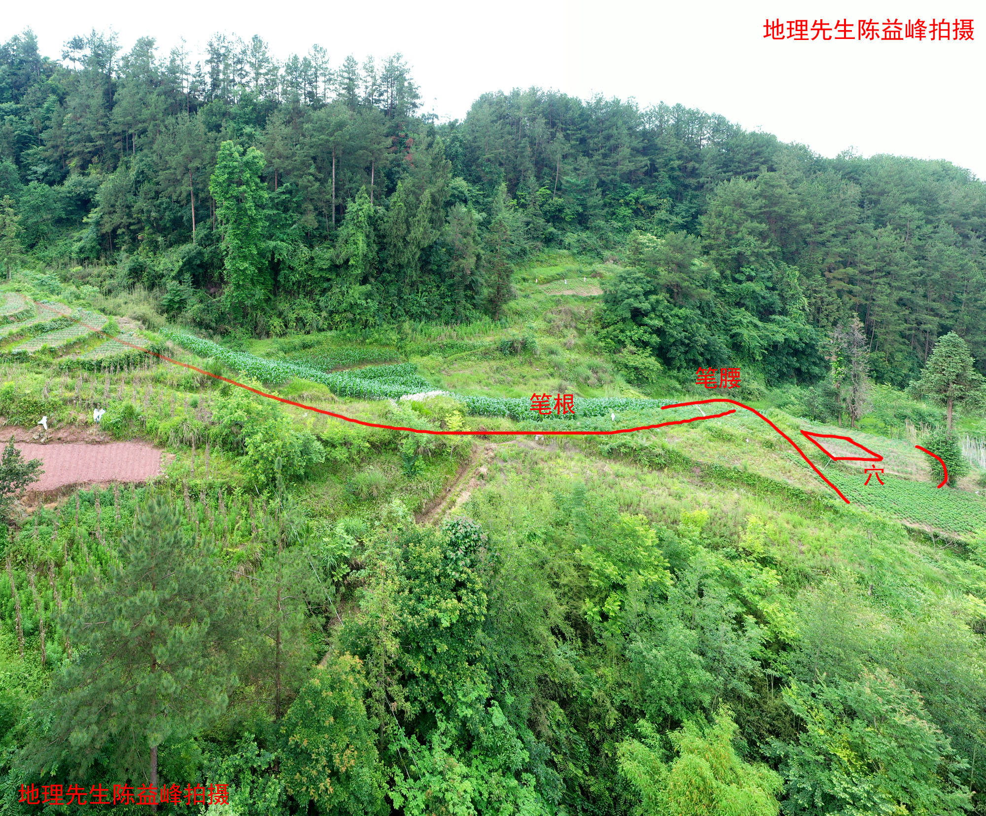 长锋笔穴,陈益峰寻龙点穴作品