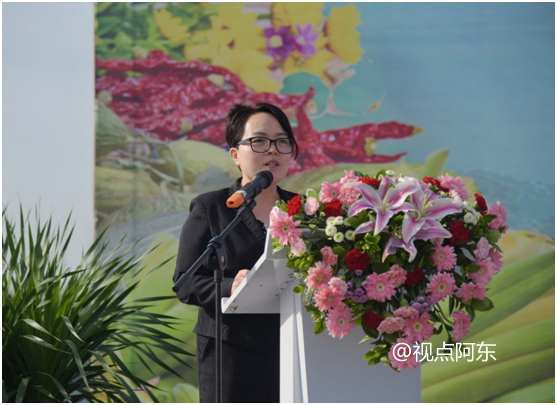 大荔县委常委,宣传部长谢文秀主持启动仪式