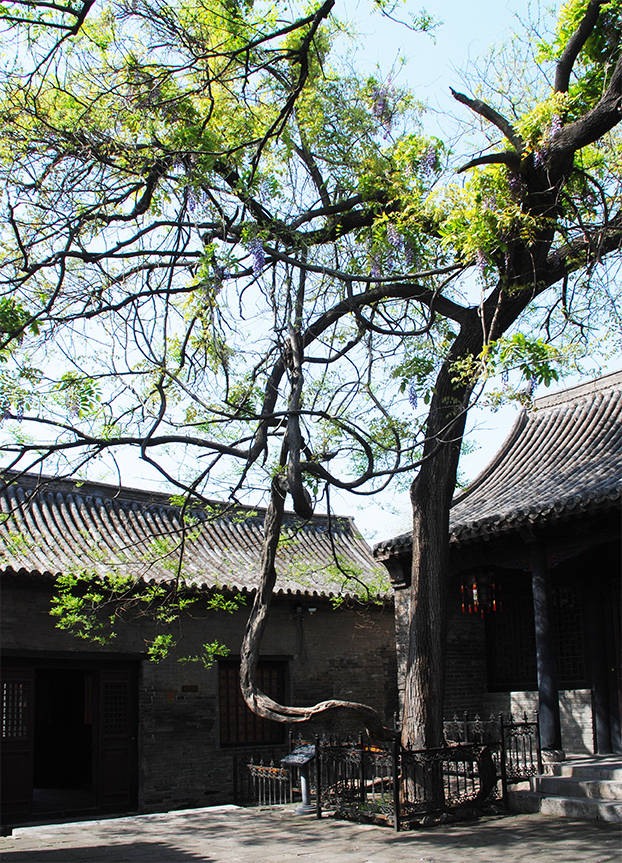 中原第一官宅马氏庄园 全国重点文物保护单位 国家aaaa级旅游景区