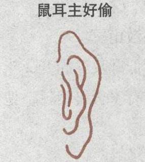 棋子耳 诗云: 棋子耳圆轮廓扶,兴家创业不模糊.