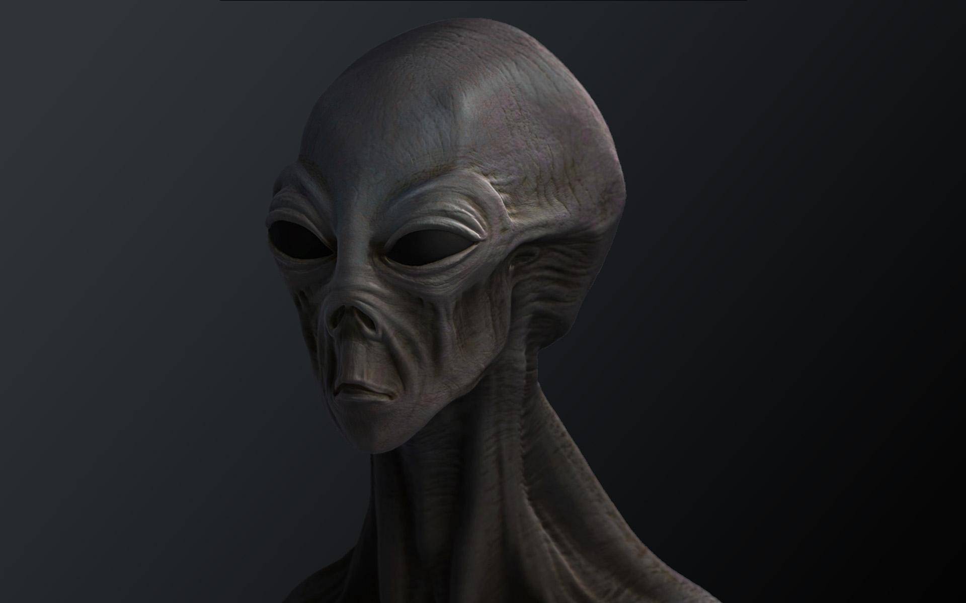 葡萄牙现未知生物影像外星人隐居地球照片作假还是真有其事