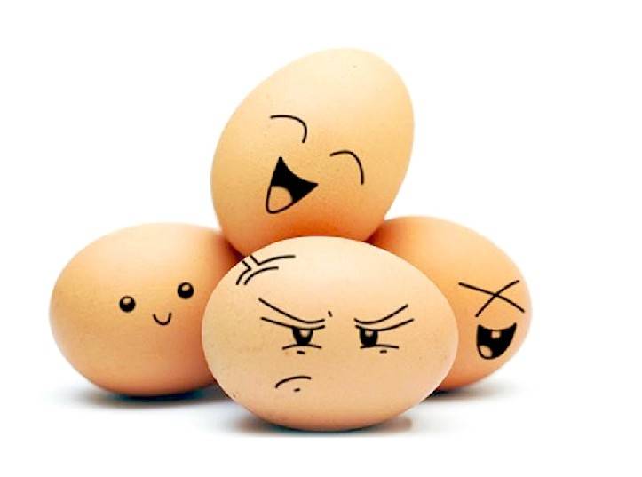 买保险划算还是吃鸡蛋划算,自己掂量