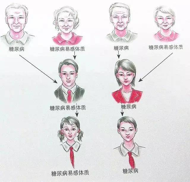 糖尿病遗传图谱图片