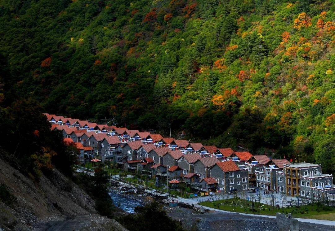 古尔沟镇丘地村党支部带领群众实干苦干,以"牦牛养殖规模化,水电开发