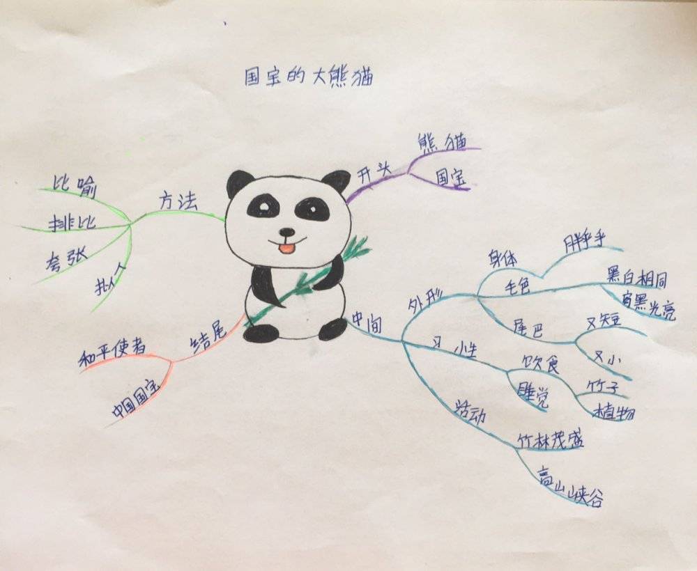 可爱的大熊猫思维导图图片