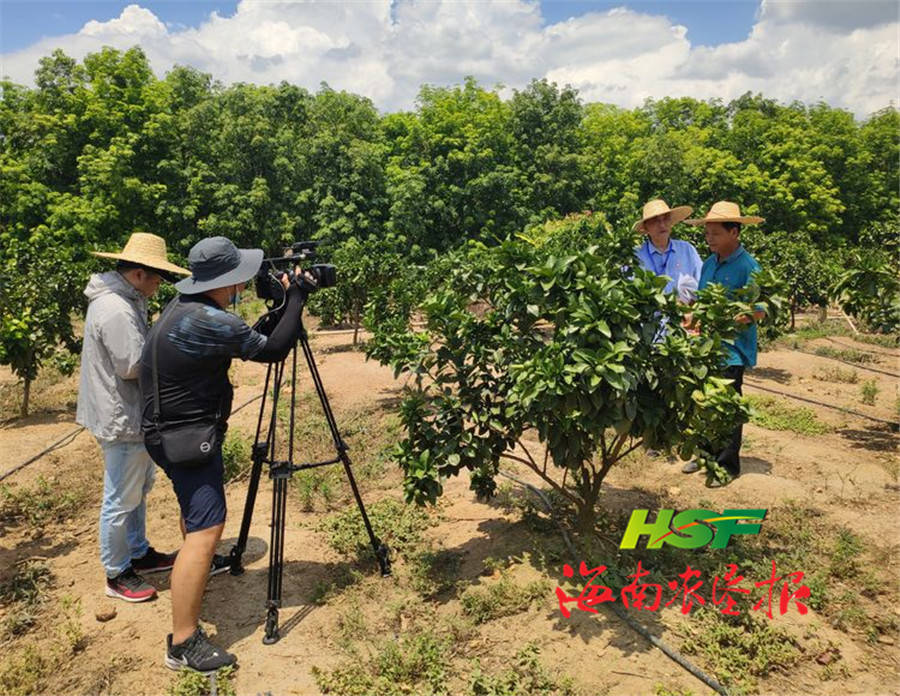 原创八一员工徐鹏入选2019海南省劳动模范和先进工作者风采录