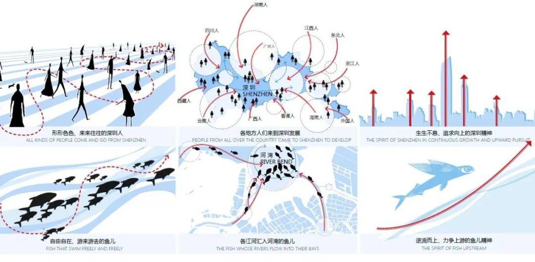 追梦的鱼儿|深圳华晖瑞禧