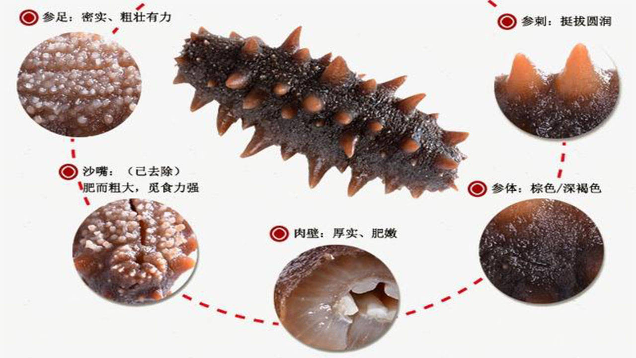 保健产品千万家,哪一家才是你的首选?