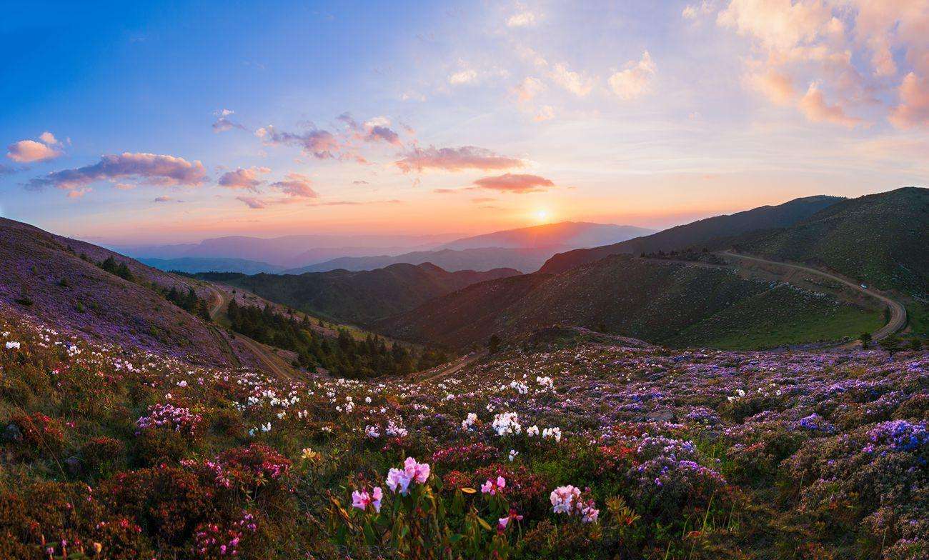原创四川金阳:奇山怪石,醉人花海,游客:没有路打通路也要去!