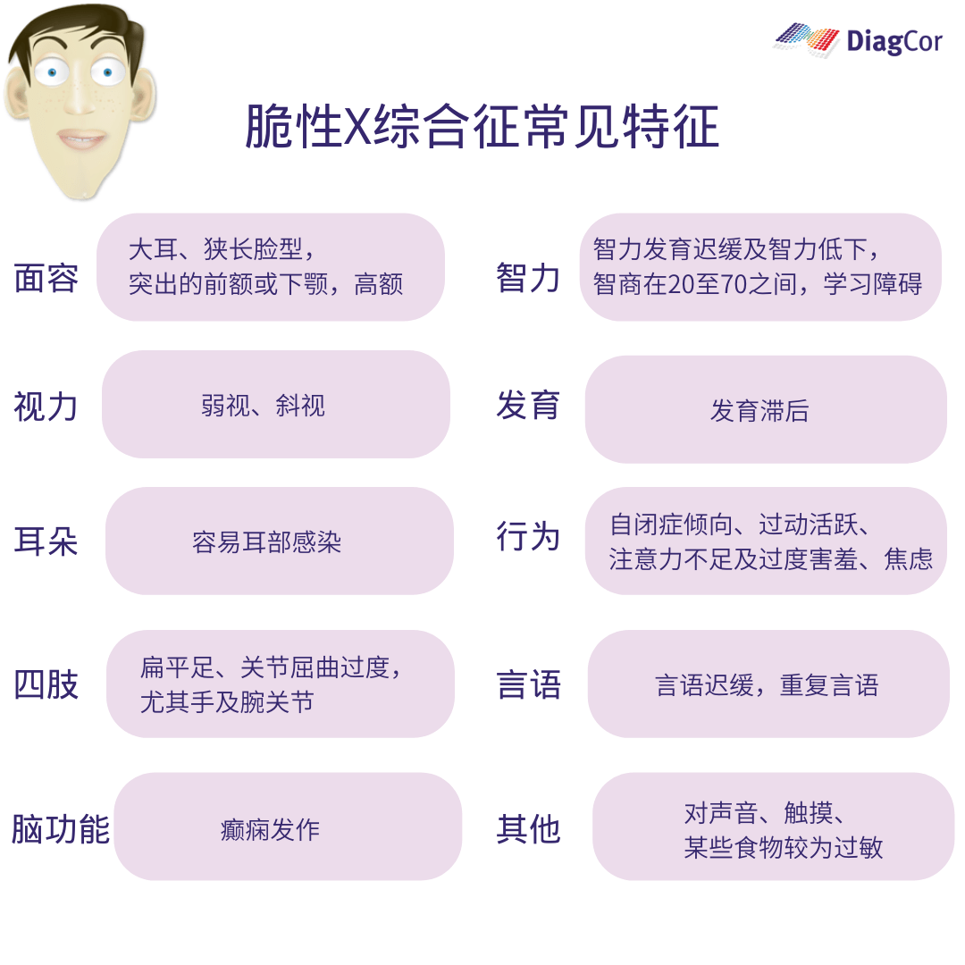 9%的檢測方式已經應用於脆性x染色體篩查,通過分子遺傳學檢測來檢測