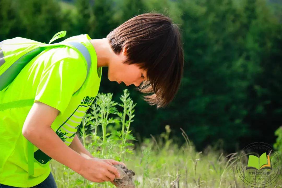 锁定夏日,寻访自然:太舞2020自然探索夏令营